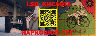 дмт Камышлов