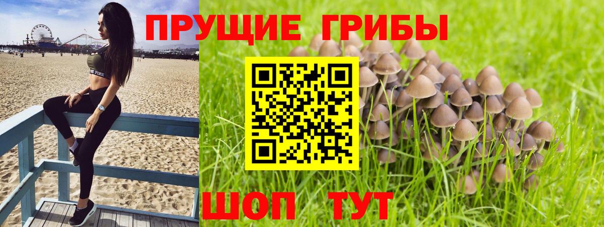Галлюциногенные грибы GOLDEN TEACHER Донской